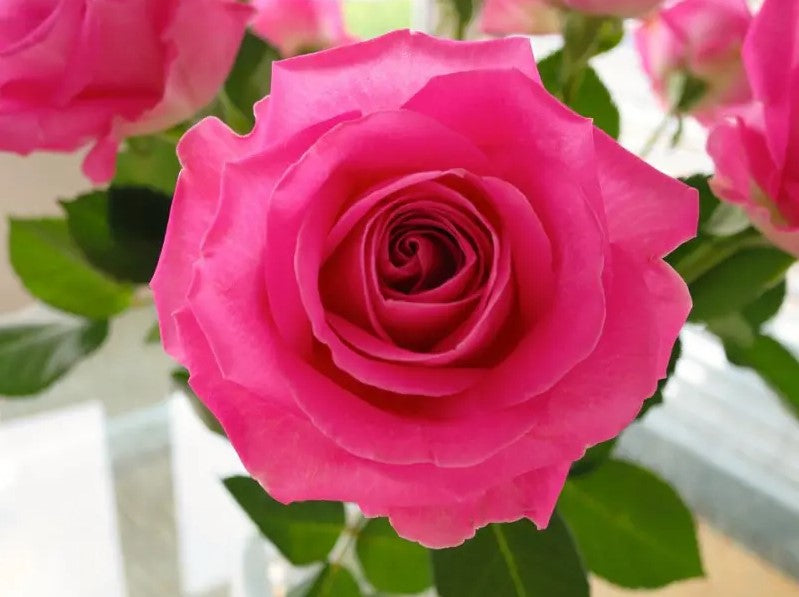 Luonnollinen Ruusuvesi – 5 vinkkiä kauniimpaan ihoon