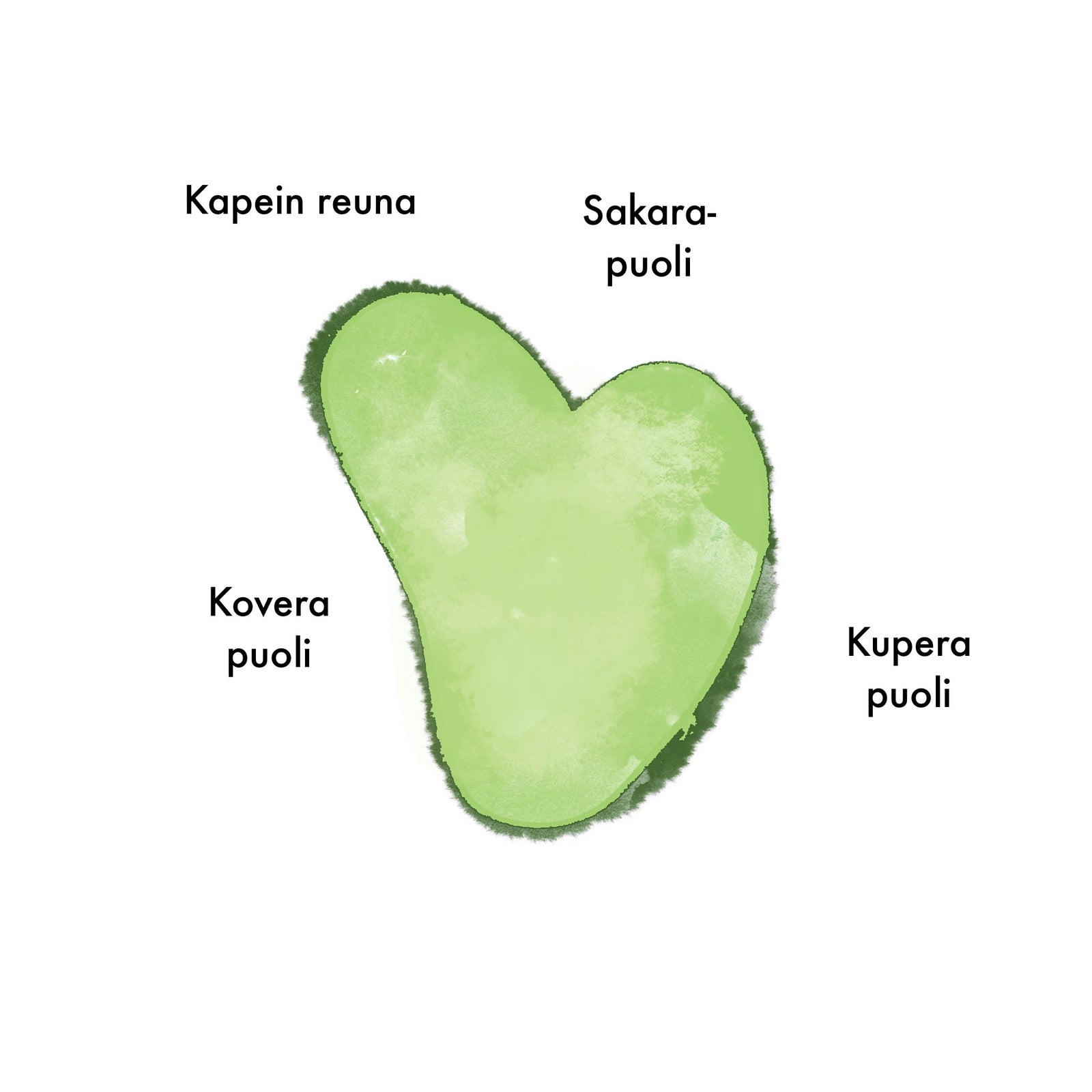 Green Jade GUA SHA -lasta